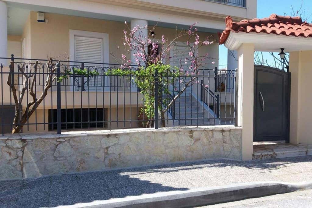 New, Bright, Cozy, Autonomous Apartment With Private Entrance And Garden, 42 M2, 5Min To The Beach And City Center Kalamata Exterior foto